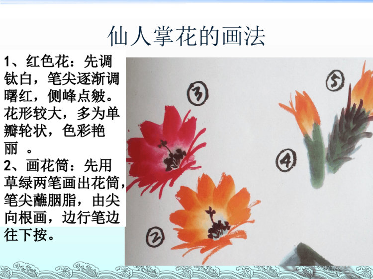 仙人掌的画法PPT