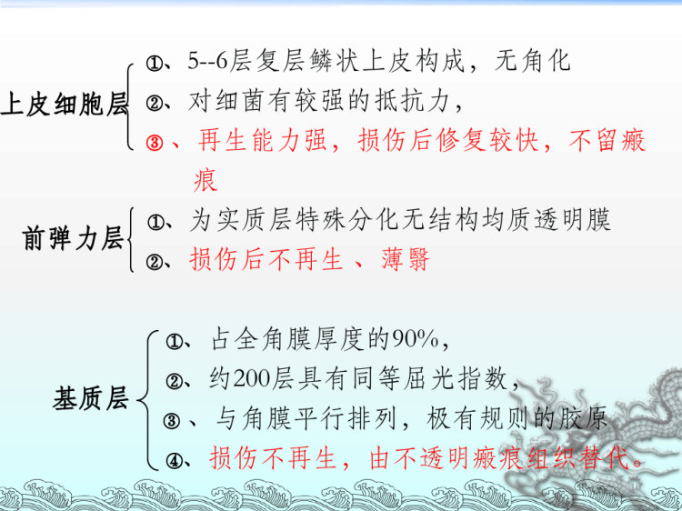 眼的组织解剖与生理PPT