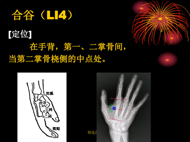常用穴位选修课二PPT