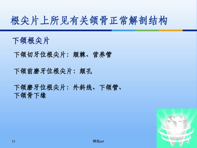 牙体牙周正常解剖及常见病线表现PPT
