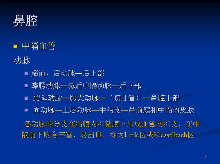 鼻鼻窦解剖PPT