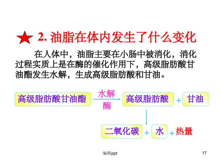 重要体内能源油脂PPT