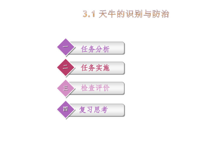 天牛的识别与防治PPT