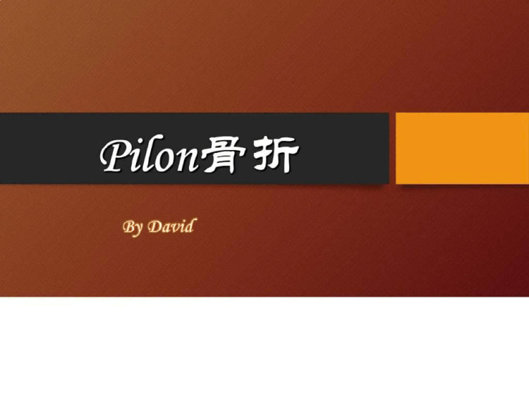 39页Pilon骨折概述PPT
