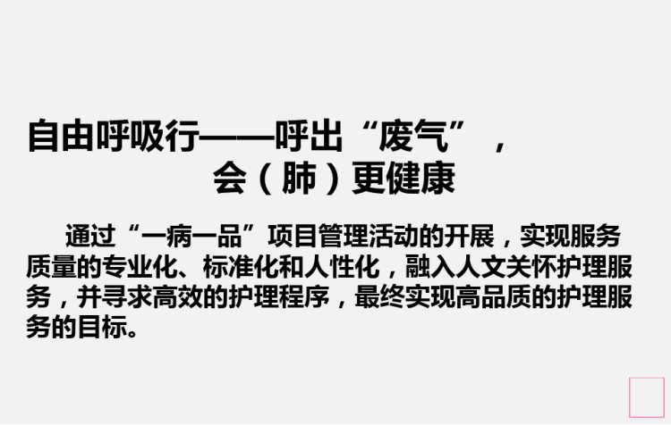 一病一品管理方案PPT