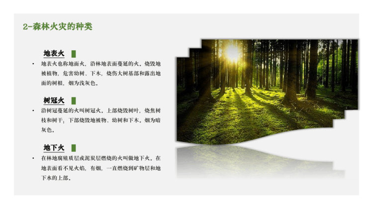森林防火教育宣传PPT