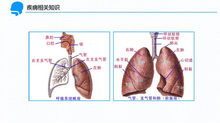 呼吸衰竭护理查房PPT