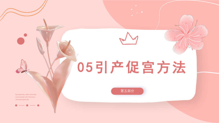 护士进修汇报PPT
