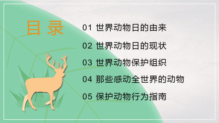 世界动物日保护野生动物PPT