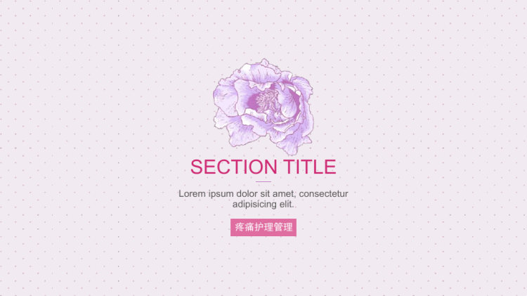 安宁疗护个案护理PPT