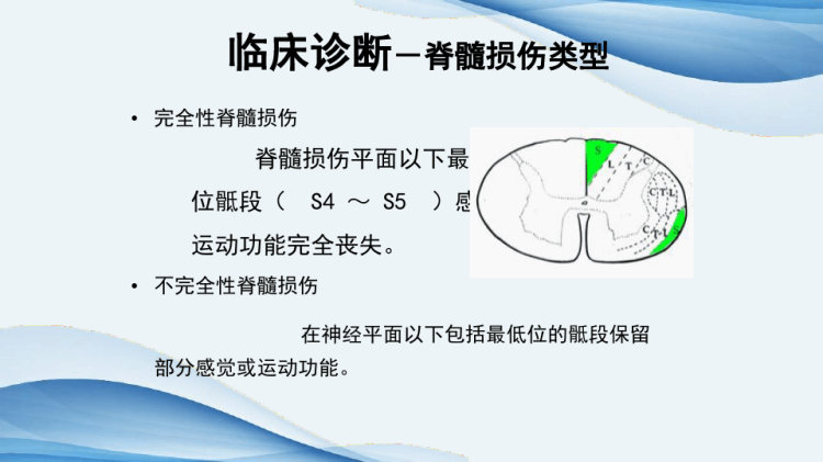 脊髓损伤康复治疗PPT