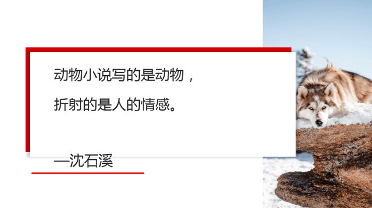 《狼王梦》读书分享PPT