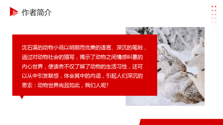 《狼王梦》读书分享PPT