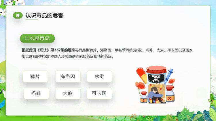 国际禁毒日宣传主题班会PPT