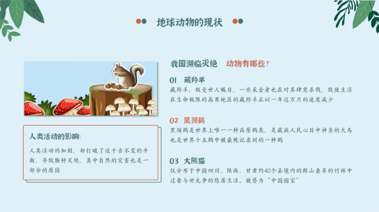 中小学保护动物主题宣传教育PPT