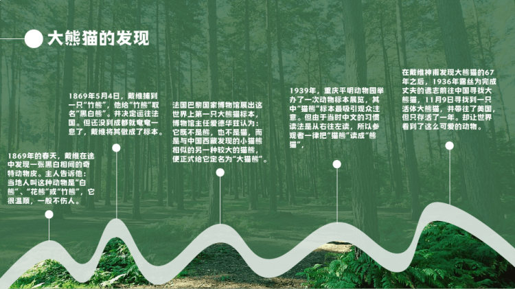 保护动物知识普及之大熊猫介绍PPT