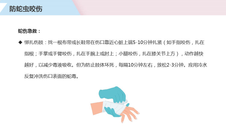 防蛇虫咬伤防中暑PPT