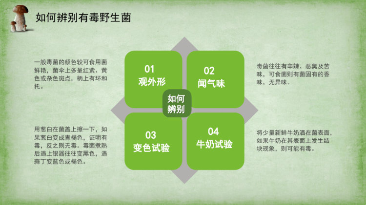 预防野生菌中毒主题班会PPT
