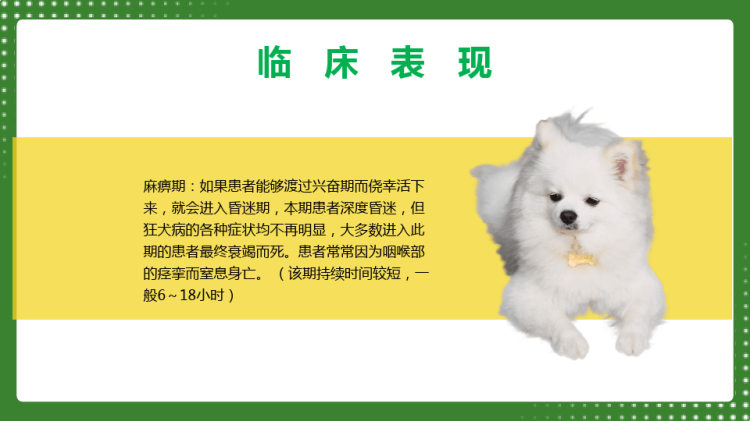 狂犬病介绍预防PPT