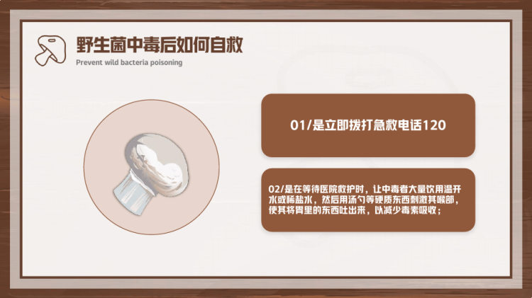 卡通风预防野生菌中毒教育宣传PPT