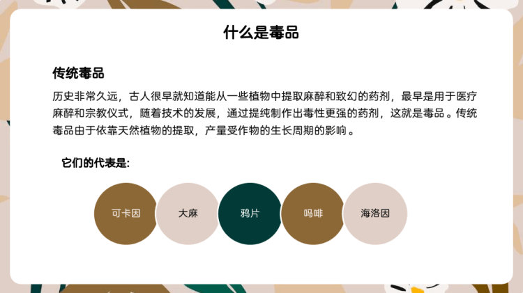 世界禁毒日青少年毒品预防教育知识宣传PPT