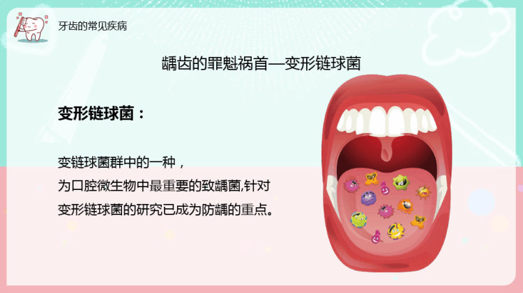 全国爱牙日牙齿常见疾病及护理PPT