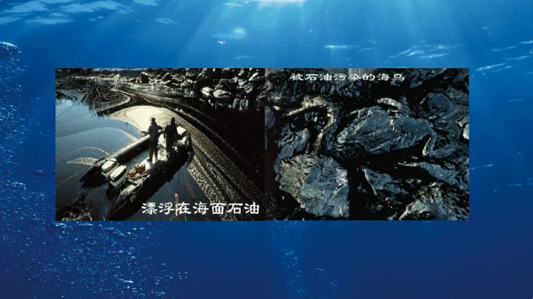 海洋生态环境污染现状及保护宣讲PPT