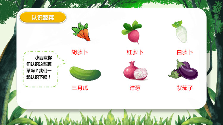 幼儿园科普教育我和蔬菜交朋友PPT