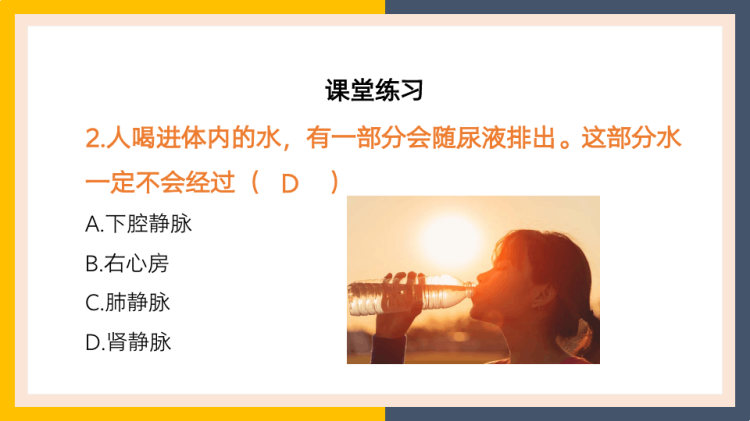 七年级下册人体内废物的排出尿的形成和排出PPT