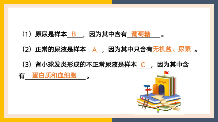 七年级下册人体内废物的排出尿的形成和排出PPT