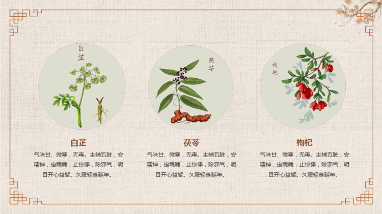常见中草药培训中医学动态PPT