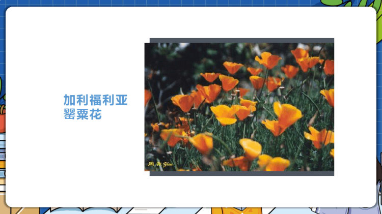 青少年如何防止吸毒主题班会PPT