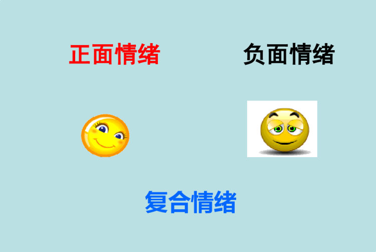 认识情绪五级综合实践活动PPT