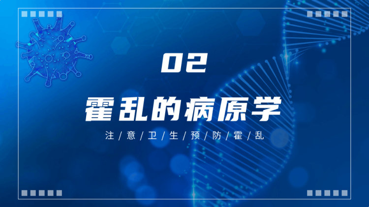 如何预防霍乱乱疾病传染病知识科普讲座PPT