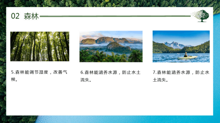 世界森林日宣传介绍PPT