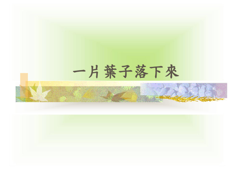 一片叶子落下来中班语言PPT