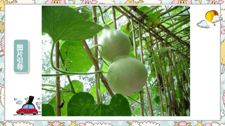 《七彩葫芦》3岁至4岁绘画PPT
