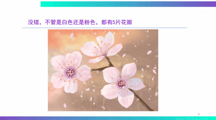 《樱花开了》4至6岁绘本PPT