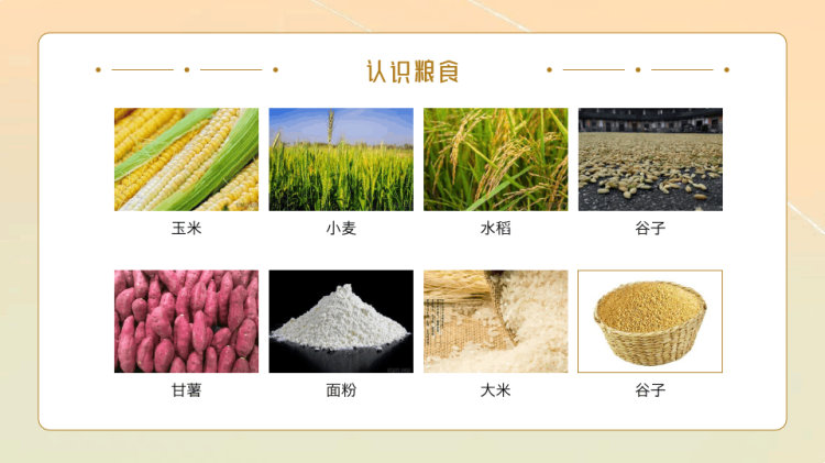 节约粮食爱惜粮食PPT