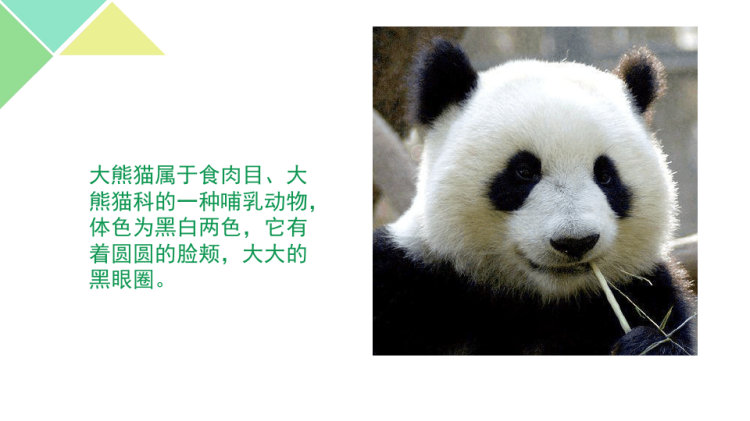 熊猫的新衣少儿插画美术PPT
