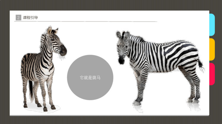 《可爱的斑马》少儿水彩笔美术PPT