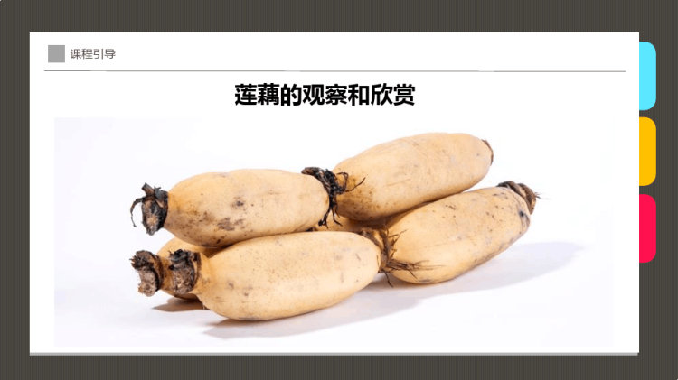 《莲藕》少儿水彩笔美术PPT