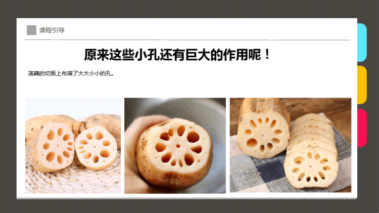 《莲藕》少儿水彩笔美术PPT