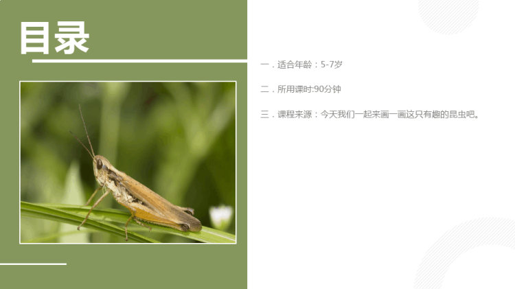 《蝗虫》少儿水彩笔美术PPT