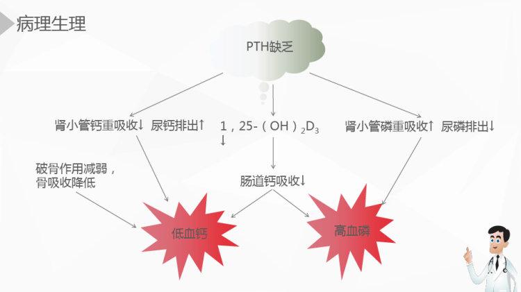 甲状旁腺功能减退症护理业务PPT