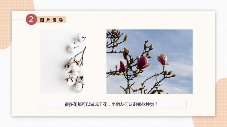 《花枝》少儿线描美术PPT