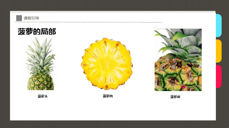 《美味的菠萝》少儿线描美术PPT