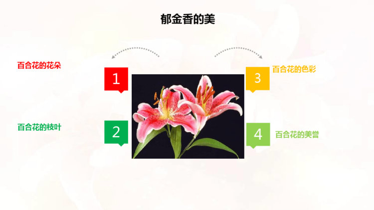 《百合花开》少儿彩铅美术PPT