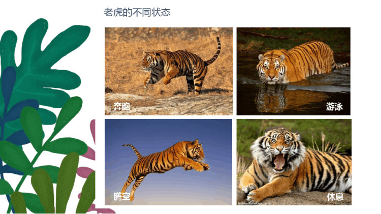 花丛中的老虎少儿水彩笔美术PPT