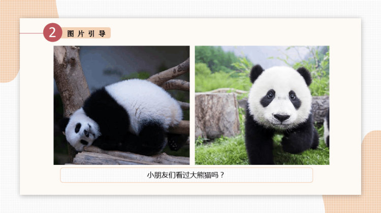 《熊猫先生的彩色照片》少儿线描美术PPT